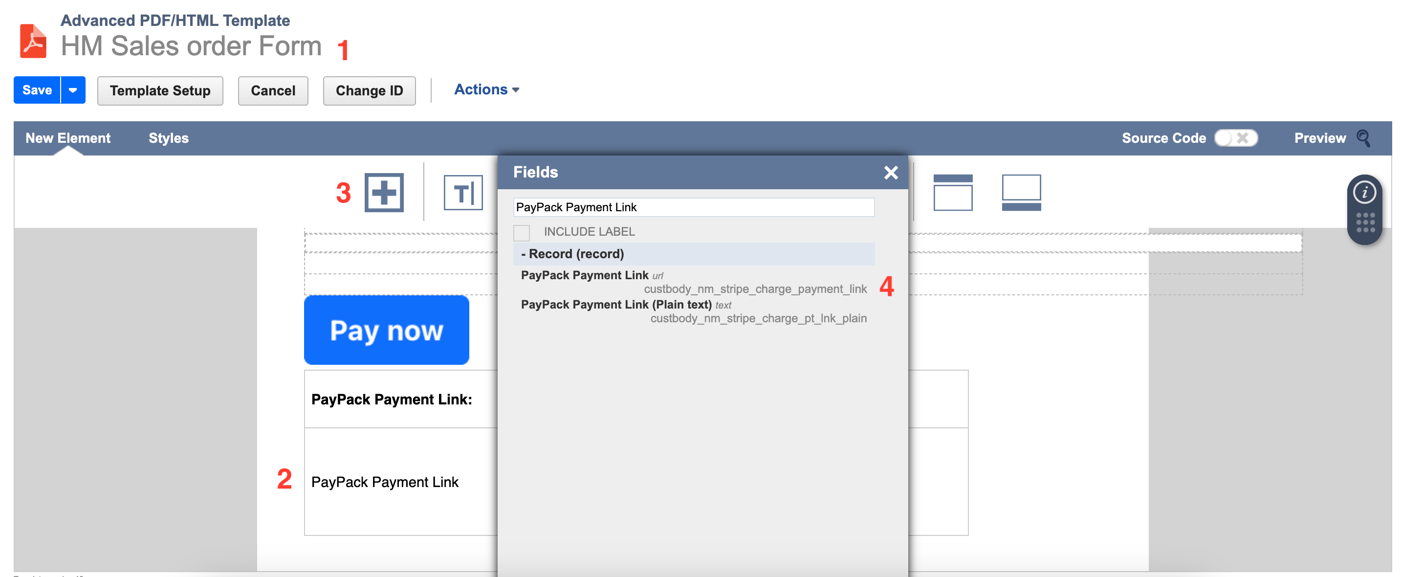 NetSuite Advanced PDF:HTML Template.png
