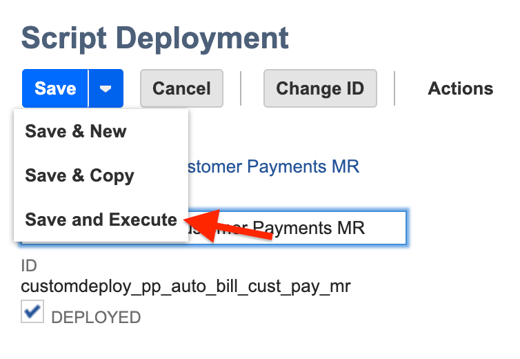 NetSuite Scripts - Save and Execute.png
